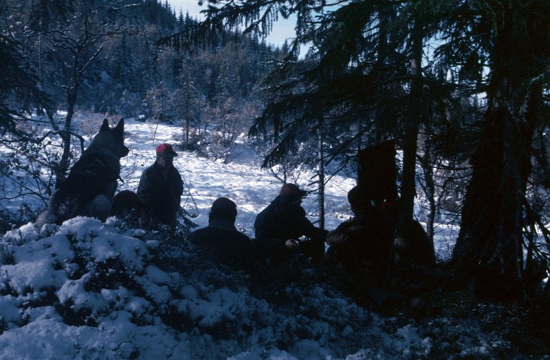 1986_03.jpg - Her kokes det kaffe atter en gang på Furuskogmyra.