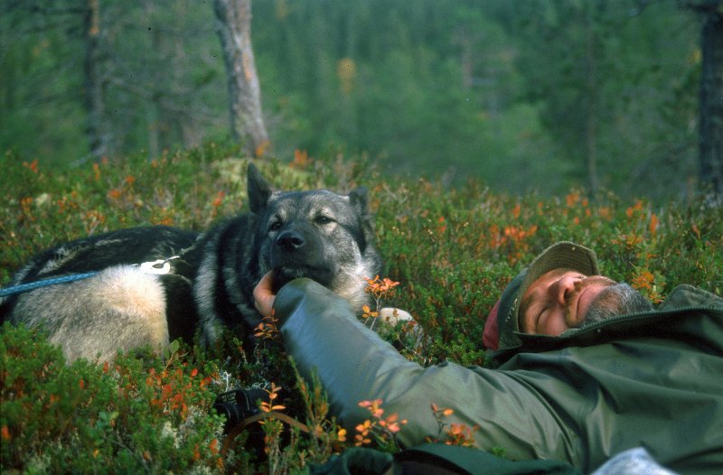 1988_02.jpg - Raja setter tydelig pris på litt klø under haka