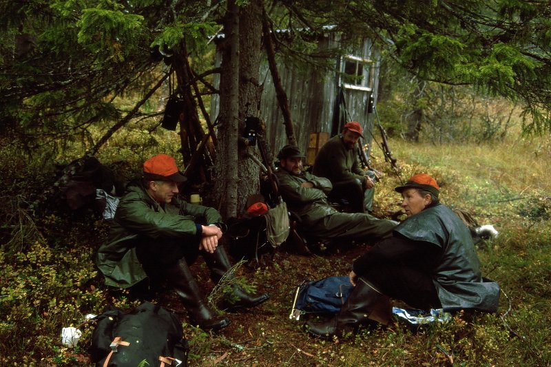 1989_03.jpg - Kafferast i Furuskogmyra. Ei gammel skogsarbeiderkoie er blitt fraktet hit for å kunne tjene som skjul for postjegere når været er dårlig. På bildet ser vi f.v. Birger, Kåre, Trygve og Arvid