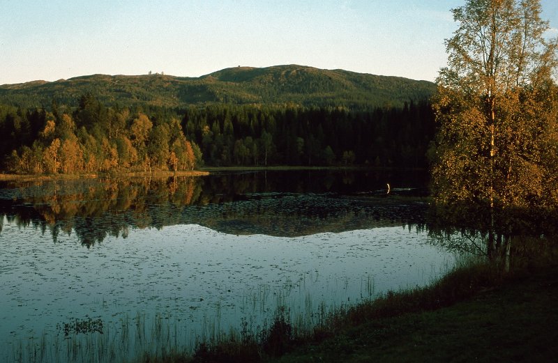 1990_02.jpg - Høststemning ved Vennatjønna