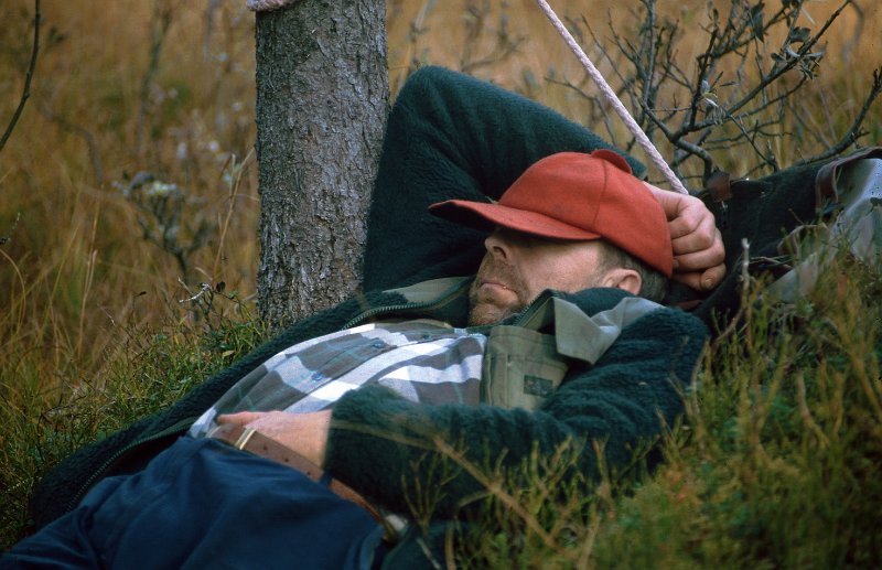 176_46.jpg - Trygve
