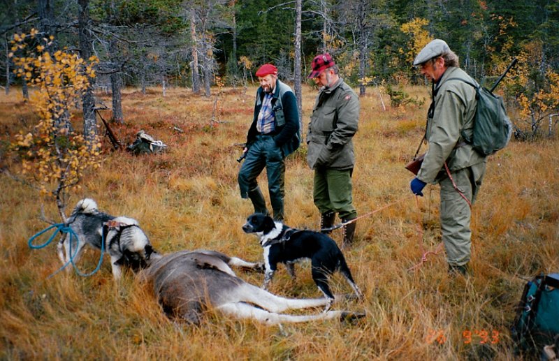 1993_2_0002.jpg - Samling ved kalvfallet på Stakkjølen. Raja, Trygve, Kåre og Gunnar med border-collien
