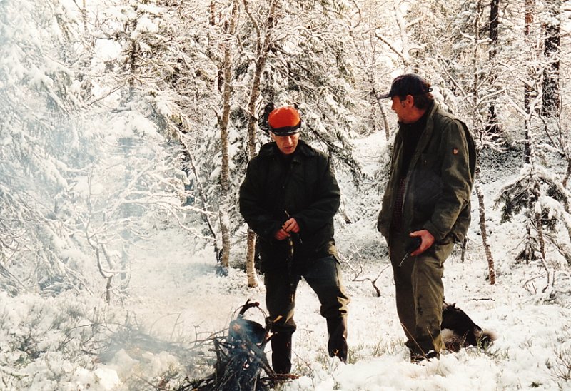 1995_0008.jpg - Vi jaktet hele oktober, og klarte ikke å felle den siste kalven vi hadde på kvoten. Det ble omsider snø i marka