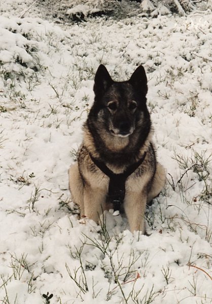 1995_0009.jpg - Raja