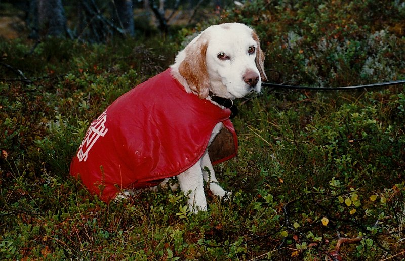 1996_0004.jpg - Telle