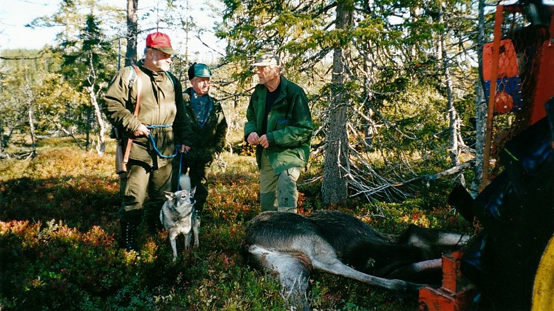 2001_0016.jpg - Traktorskyss er ankommet