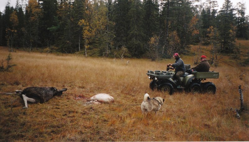 2004_3_2.jpg - Frode og Kåre har henta sekshjulingen.