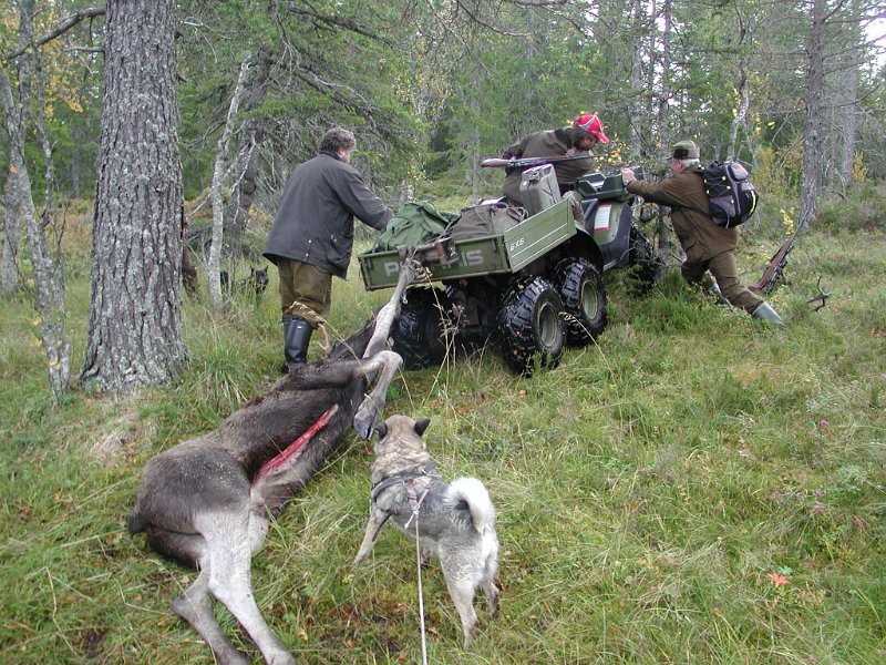 Epsn0031.jpg - Noen ganger er det såpass ulendt at sjøl sekshjulingen får problem