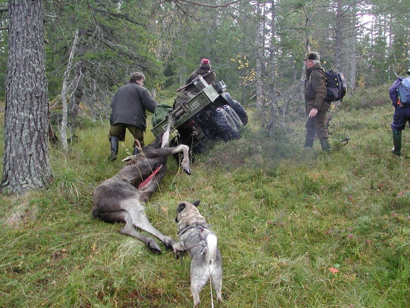 Epsn0034.jpg - Helningsvinkelen er heller dryg