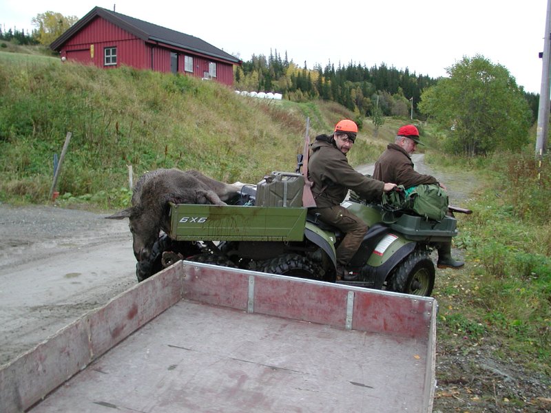 Epsn0048.jpg - Framme ved Vennatjønna ble kalven lasteom over på bilhengar