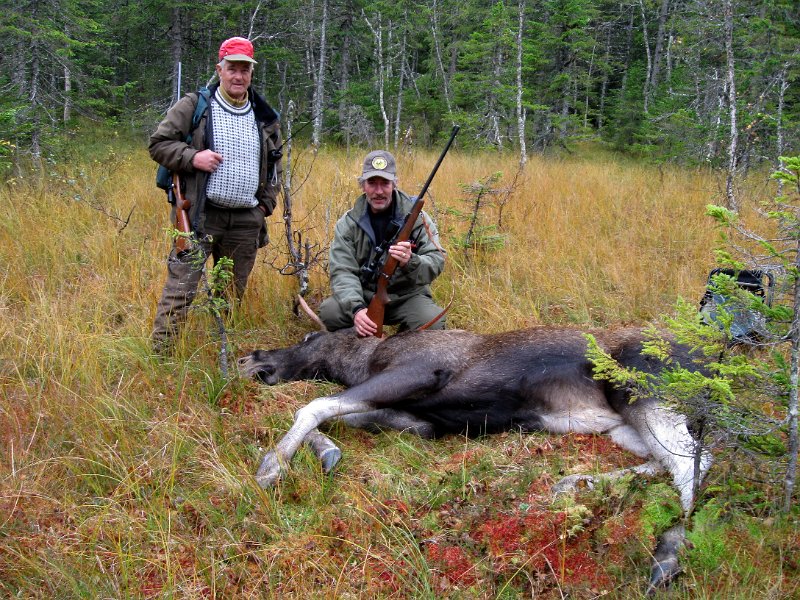 IMG_1158.JPG - Ei vellykket jakt