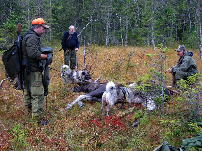 IMG_1159.JPG - Frode og Troja har også kommet fram.