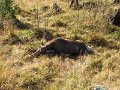 IMG_2888