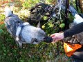 IMG_2956