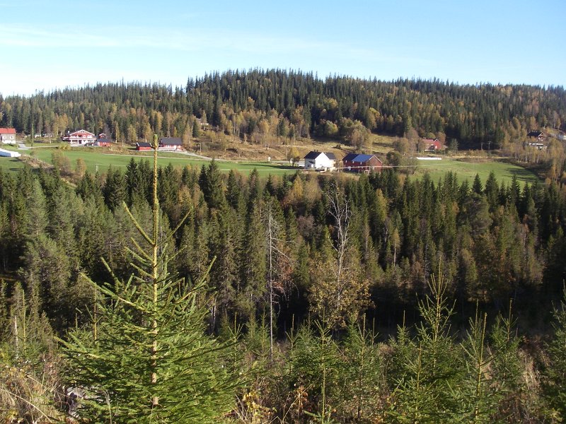 IMGP2189.JPG - Moli og Botnan sett fra sørsida av Vennaelva