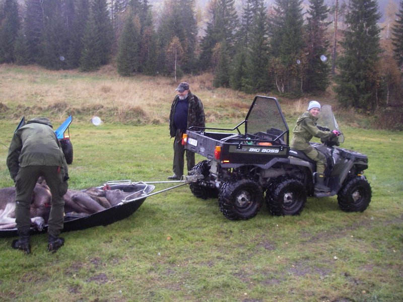 IMGP2194.JPG - Sekshjuling og Alaska-slede e perfekt doning for frakt av elg