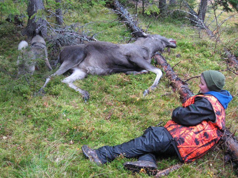 IMG_3549.JPG - Troja, elgen og Sverre