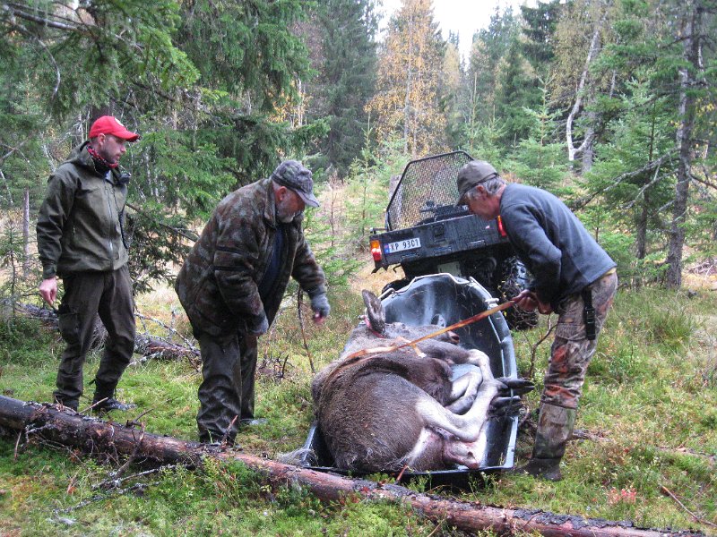 IMG_3551.JPG - Marius og Tryge assisterer Stein ved fastreiping til sleden.