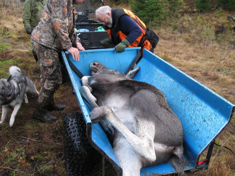 IMG_3585.JPG - Klar for siste reis.