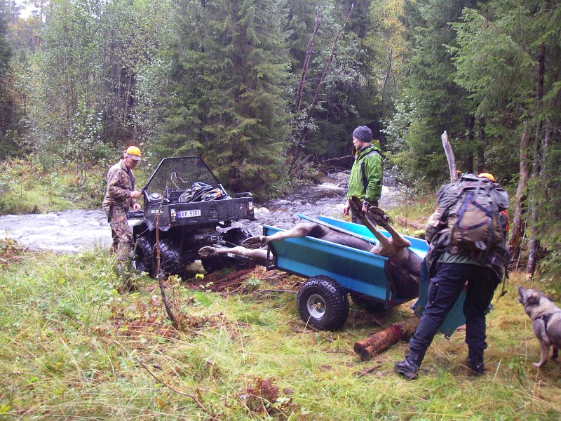 Imgp2275.jpg - Her må lauva krysses