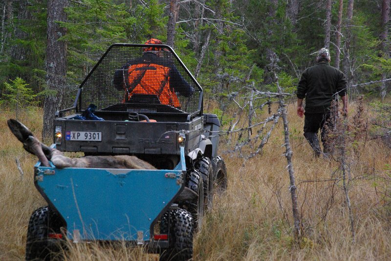 Imgp8952.jpg - Frode viser framkomman lei fram te vein i Lauvdalen. Siste elgfrakt i år.