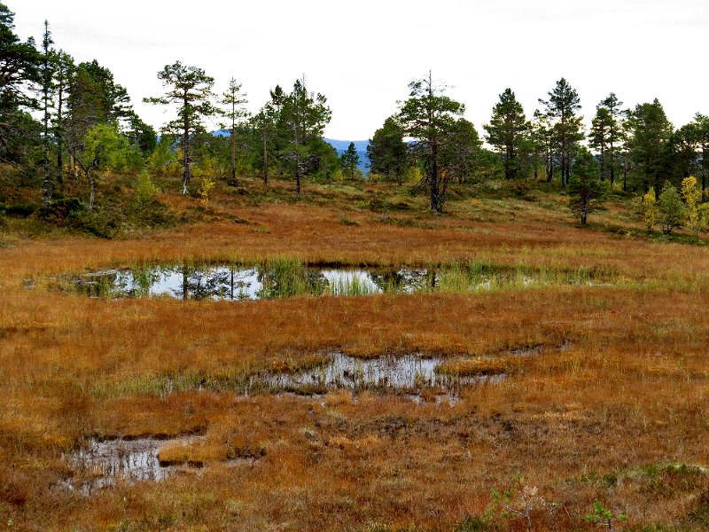 Img_1468.jpg - Vakkert høstlandskap