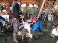 IMG_2898